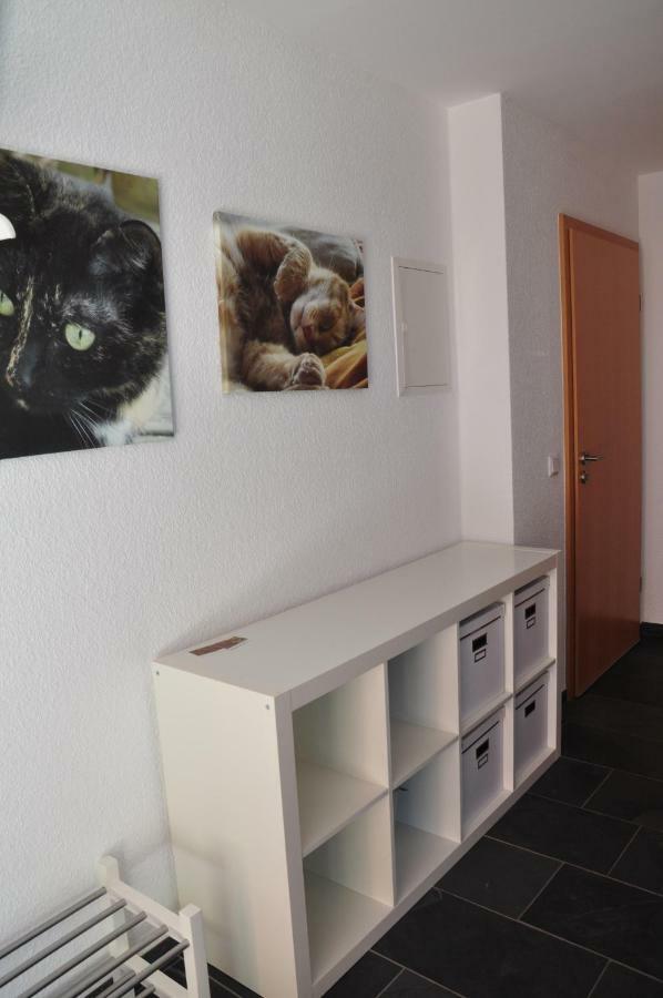 Ferienwohnung Roter Kater Am Nationalpark Eifel Bergbuir المظهر الخارجي الصورة