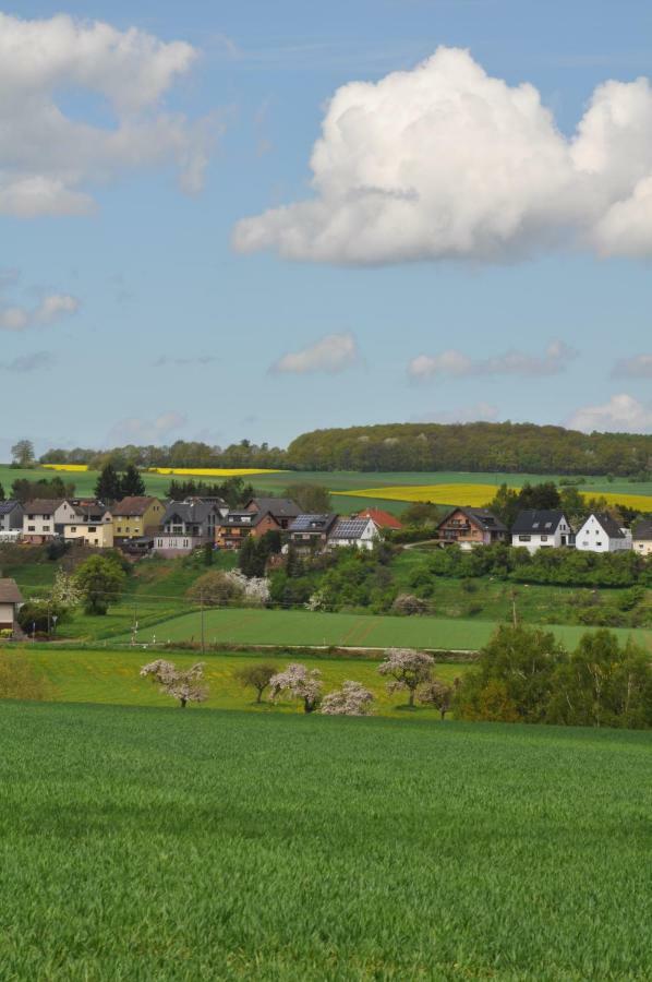 Ferienwohnung Roter Kater Am Nationalpark Eifel Bergbuir المظهر الخارجي الصورة